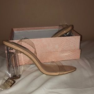 Cape Robbin glass heels from fashion nova